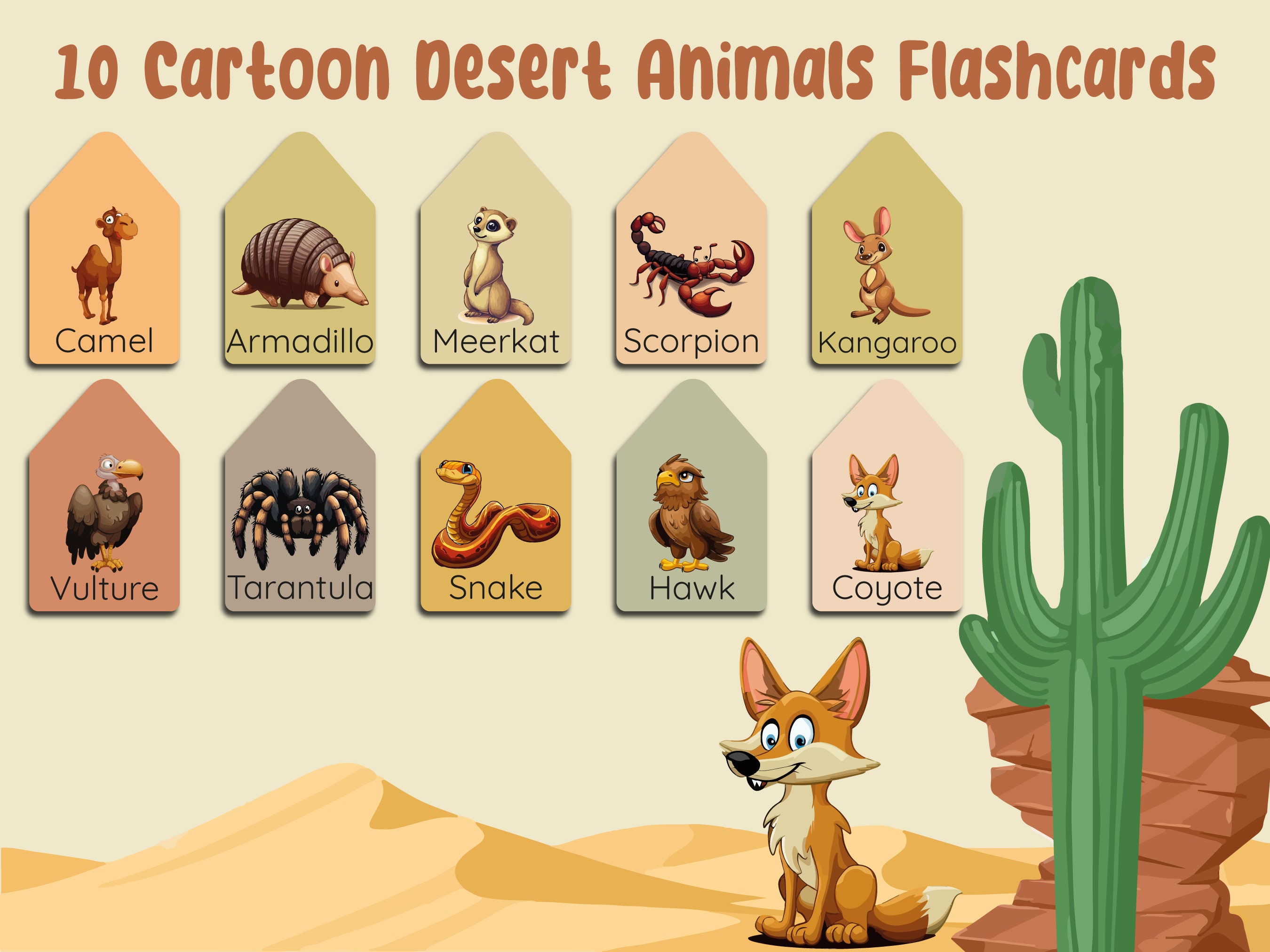 Desert Animals Flashcards, Cartoon Desert Animals, Illustrations Desert