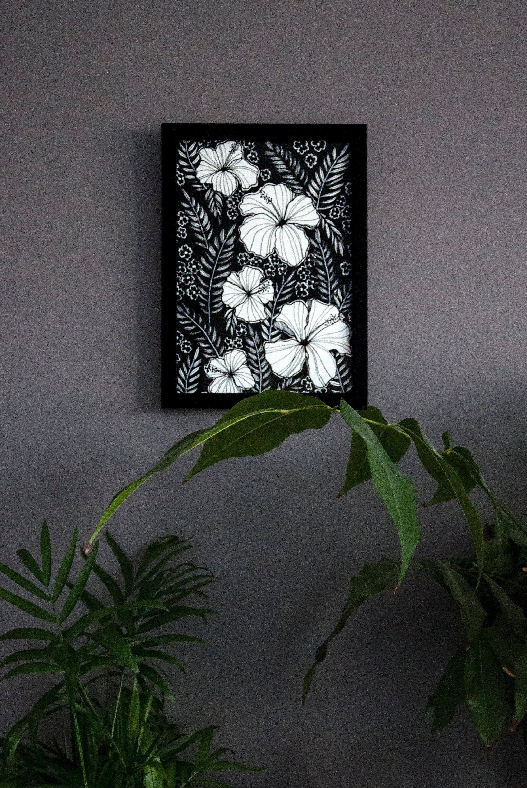 Illustration et Texte Hibiscus