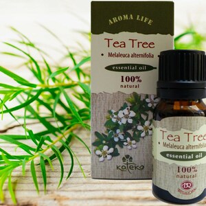 Teebaum Ätherisches Öl 100% Natürliche reine Aromatherapie Antiseptik 10 ml 0.34 oz