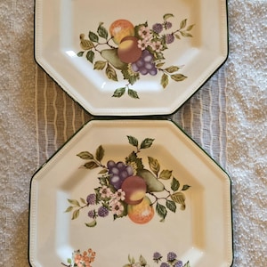 Fresh Fruit Salad Plate set by Johnson Bros Made in England