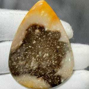 May include: A teardrop-shaped gemstone with a polished surface. The stone features a blend of colors, including shades of brown, white, and yellow. The pattern has a speckled appearance with a dark brown center and lighter edges. The gemstone is held by a gloved hand.