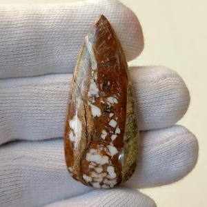 100% natürliche Wald Jaspis Edelstein Birnenform & Größe Jaspis Cabochon Soem verfügbar gute Qualität Jaspis 41 Warenkorb 47X21X5 MM