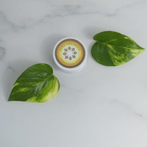 Mango & Orange Fruity Vegan Organic Lip Balm - Organic | Vegan | Handmade | Eco Friendly | Gift Idea