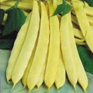 May include: A close-up of several fresh, yellow wax beans with a few green leaves. The beans are long and slender, with a smooth texture. Some beans are overlapping, and the image is well-lit, highlighting the vibrant color of the beans.