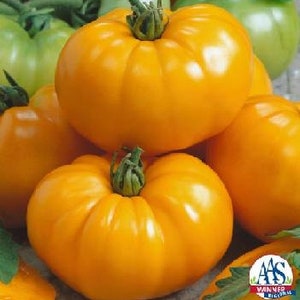 Tomato, Chefs Choice Yellow       25 Seed pack