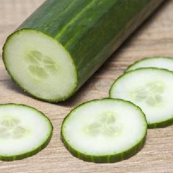 Cucumber, English Burpless