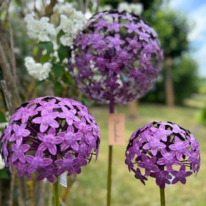 Plant plug Allium purple, 3 different sizes, bed plug, flower plug, garden decoration made of metal