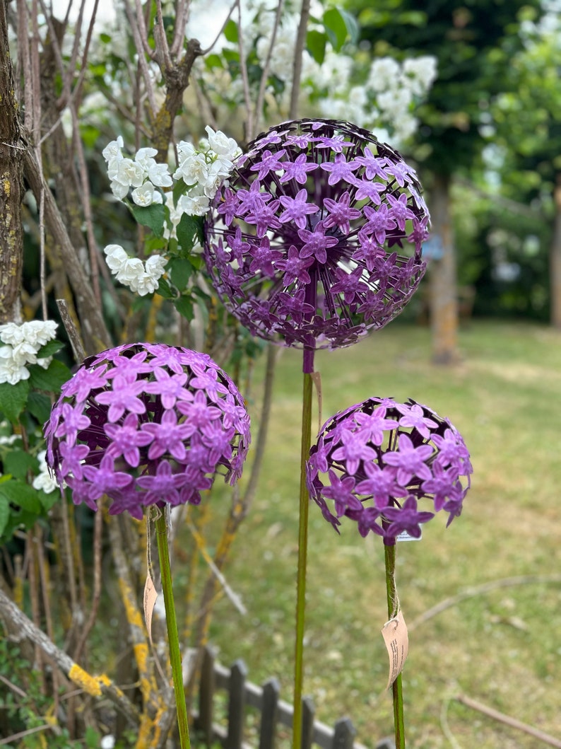 Pflanzstecker Allium lila, 3 verschiedene Größen, Beetstecker, Blumenstecker, Gartendekoration aus Metall Bild 8