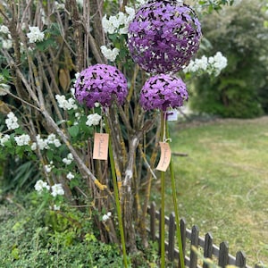 Pflanzstecker Allium lila, 3 verschiedene Größen, Beetstecker, Blumenstecker, Gartendekoration aus Metall Bild 5