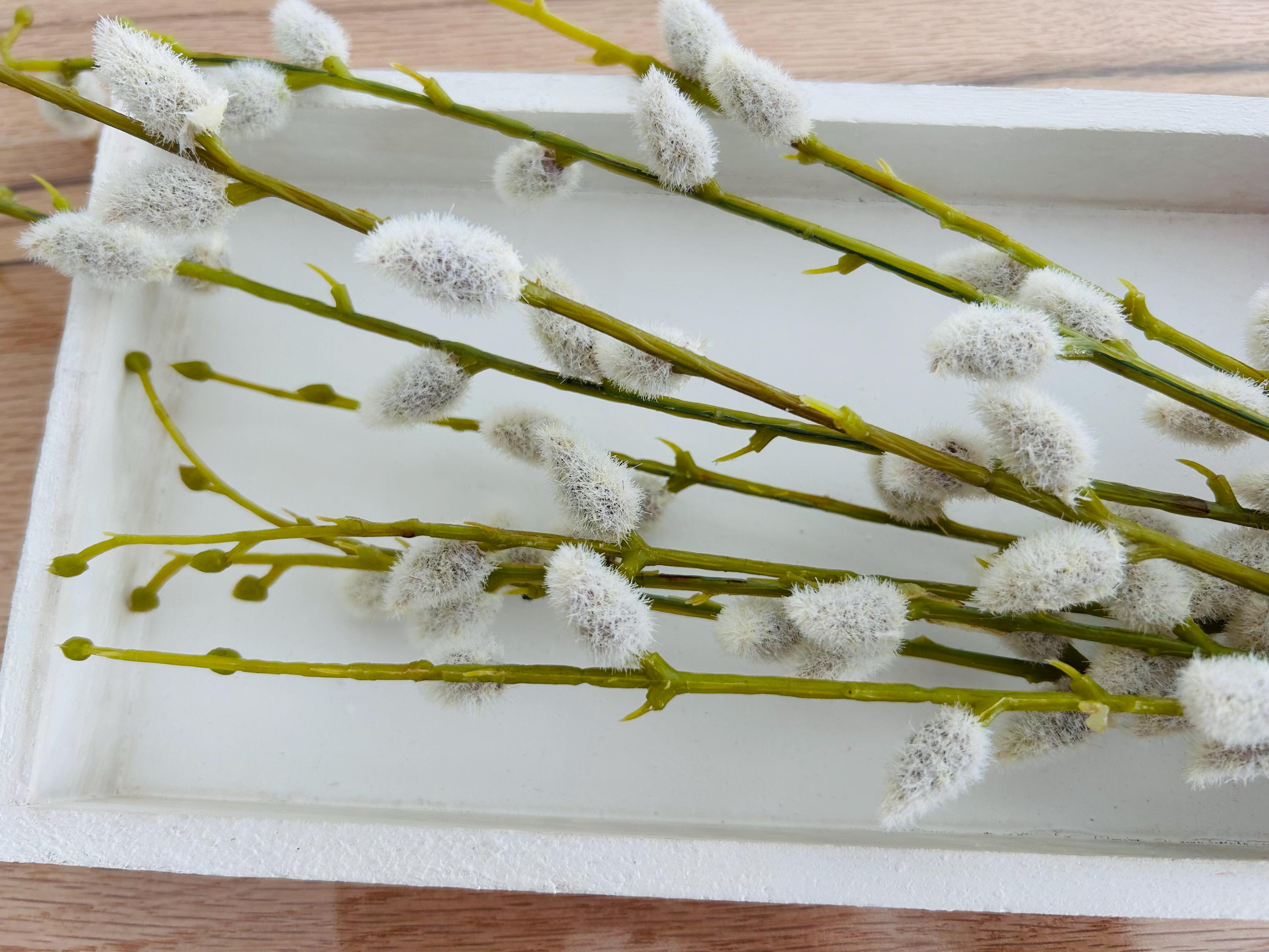 Weidenkätzchen, Salix künstlich