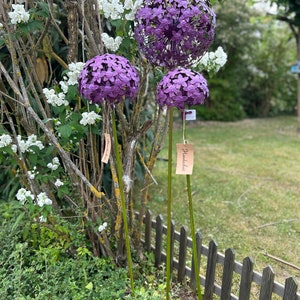 Pflanzstecker Allium lila, 3 verschiedene Größen, Beetstecker, Blumenstecker, Gartendekoration aus Metall Bild 6