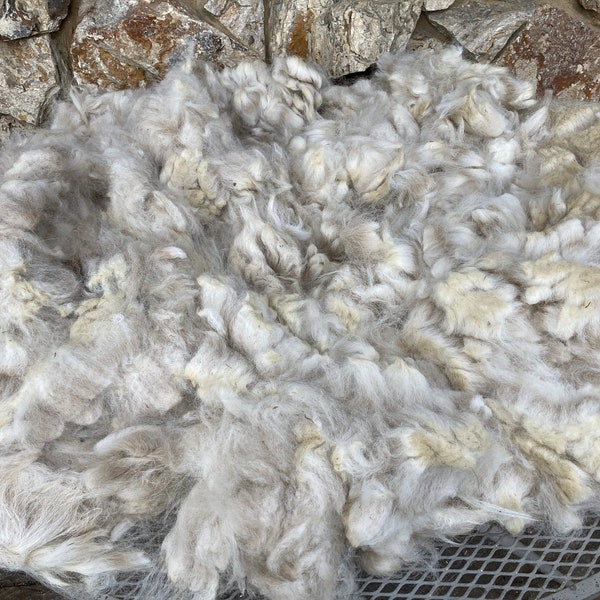 Raw Alpaca Fleece