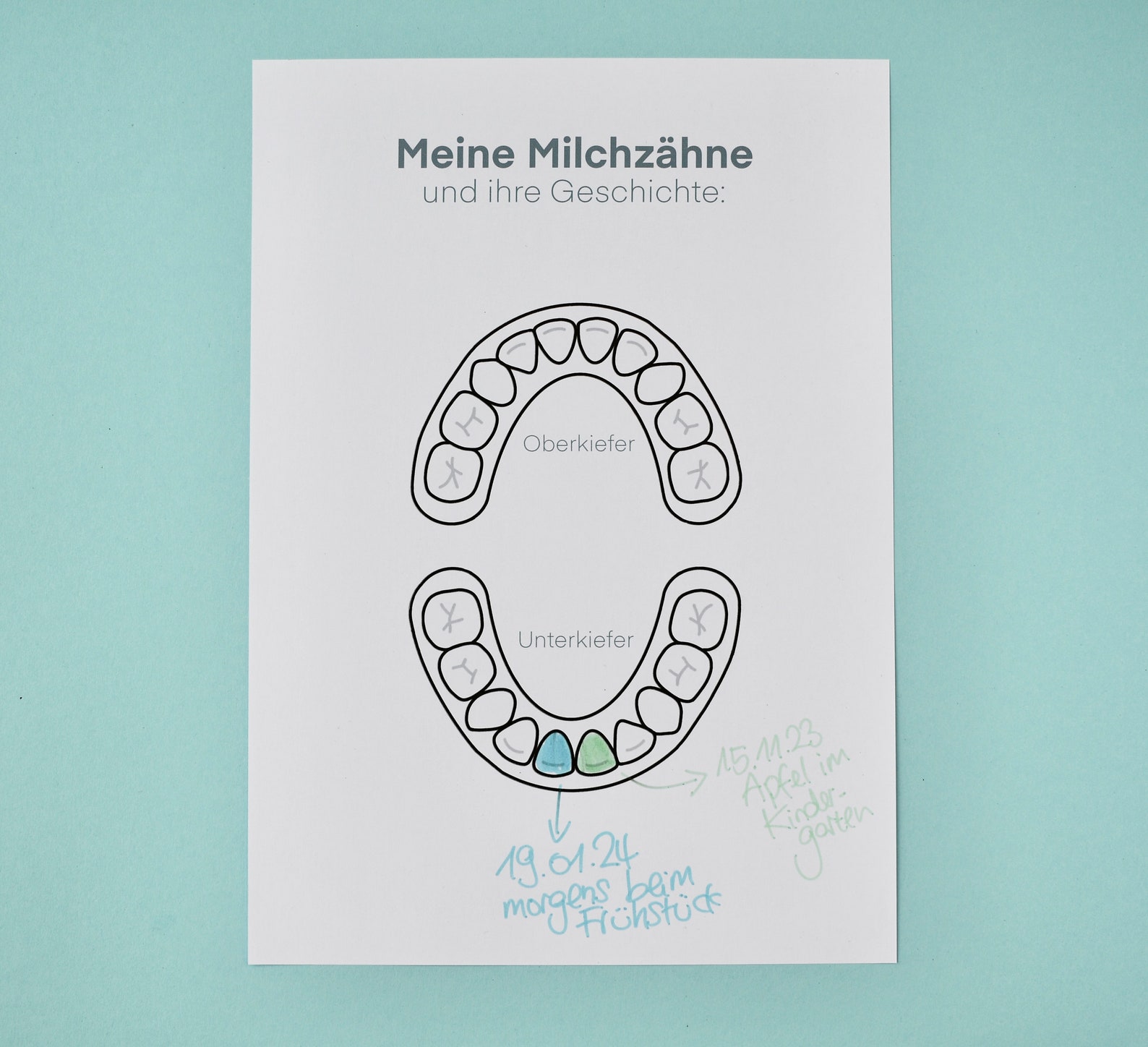 Milchzahn Kalender Wackelzähne Poster Milchzahngebiss Download zum ausdrucken Geschenk von der 