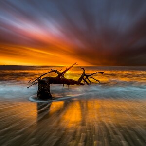 May include: A weathered, driftwood branch lies on a sandy beach at sunset. The sky is a vibrant orange and pink, with streaks of clouds. The water is a soft blue and white, with waves lapping at the shore.