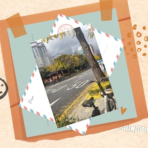 Ending of Autumn Seoul Korea Postcard
