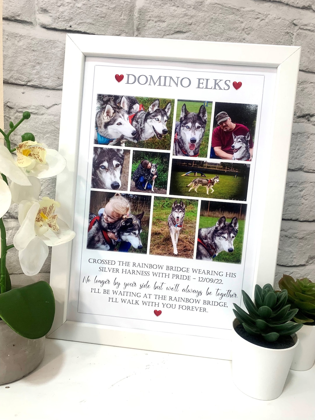 Pet Loss Memorial Photo Frame Collage Personalised Dog Photo Gift Pet