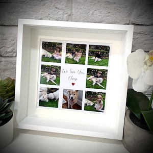 Pet Loss Photo Frame Memory Gift Personalised Photo Collage Rememberance Pet Portrait