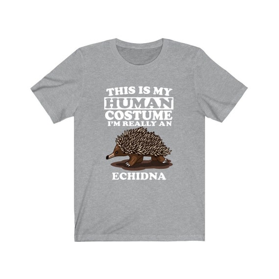 Funny Potato T-Shirt Xmas Gift This Is My Human Costume Funny Potato T-Shirt Xmas Gift This Is My Human Costume