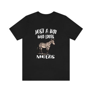 Just A Boy Who Loves Mules Shirt, Mule Lover Shirt, Mule Shirt, Mule Lover Gift, Animal Adult Kids T-Shirt