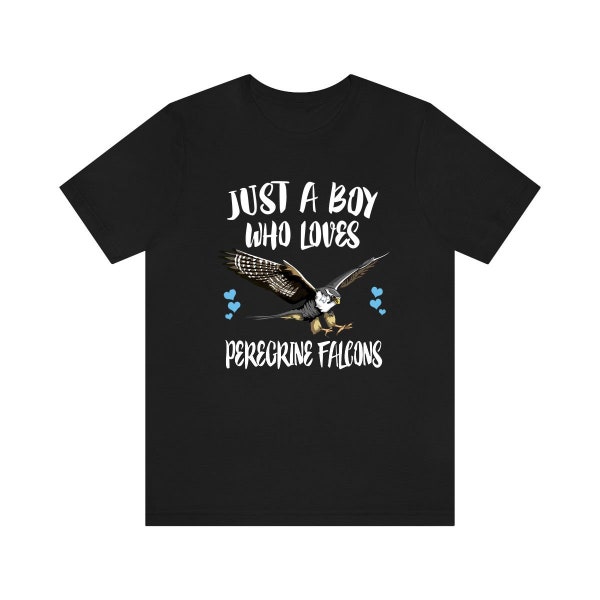 Just A Boy Who Loves Peregrine Falcons Shirt, Peregrine Falcon Lover Shirt, Falcon Shirt, Bird Lover Gift, Animal Adult Kids T-Shirt