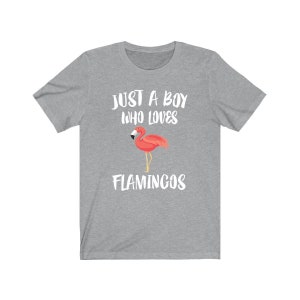 Just A Boy Who Loves Flamingos Shirt, Flamingo Lover Shirt, Flamingo Shirt, Flamingo Lover Gift, Animal Adult Kids T-Shirt