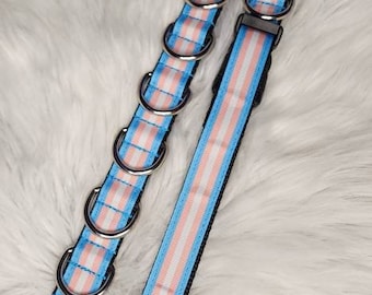 Conjunto de lazos para novios del orgullo trans