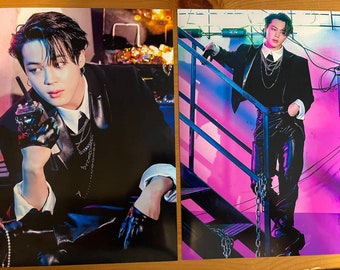 BTS Jimin Alley Cat Prints