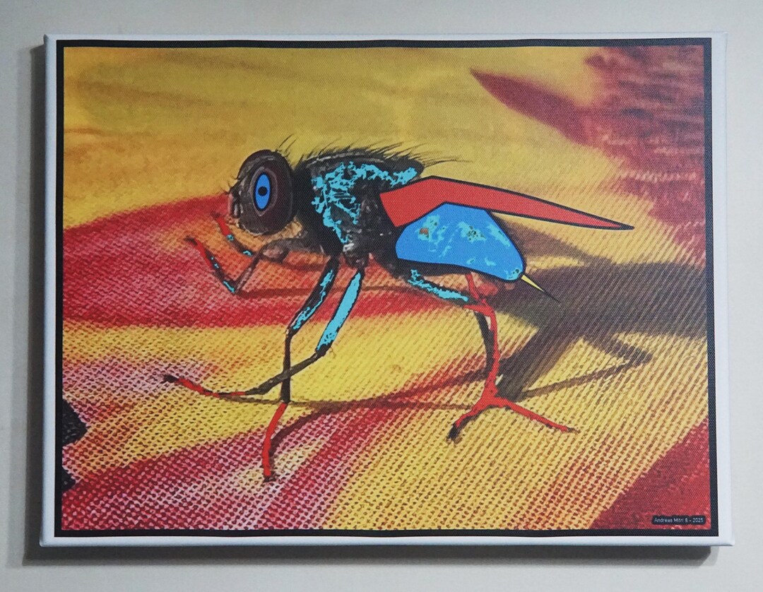Fantasy Fly on Canvas - Etsy