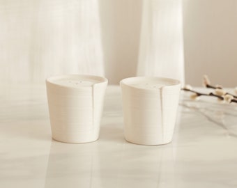 White Porcelain Salt & Pepper Shakers Set