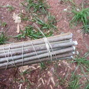 May include: A bundle of thin, brown wooden sticks tied together with twine. The sticks are arranged in a neat stack and are all about the same length.