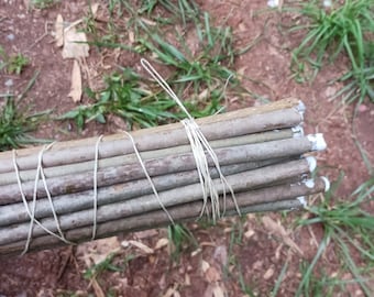 Sourwood shoot shafting per 12. No river cane? No problem!! 30 in long, premium shafting for primitive success.