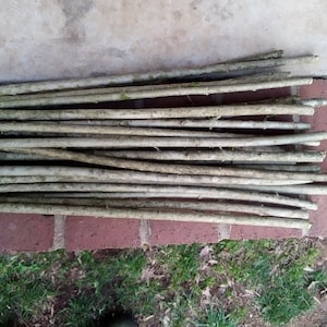 Puede incluir: Un montón de palos de madera naturales, de diferentes grosores y longitudes. Los palos son de color marrón claro con algunos tonos verdes y grises, lo que sugiere que están recién cortados. Están dispuestos sobre una superficie de ladrillo rojo.