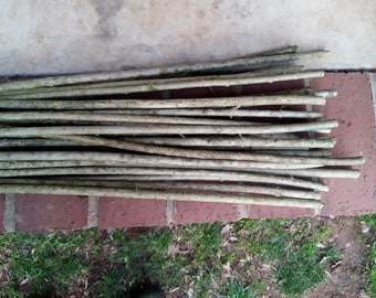 NEW! Privet Arrow Shafting 12 pk