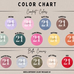 21 Birthday Shirt Hello 21 Shirt 21st Birthday Gift for 21st birthday 2005 T-shirt 21st Birthday Tee Hello 21 T-Shirt Chapter 21 Tshirt image 3