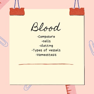 Blood, Hematology, Nursing Notes, Nursing Study Guide, Digital Download, Medical Notes