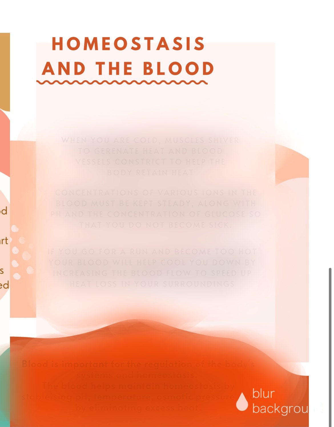 Blood, Hematology, Nursing Notes, Nursing Study Guide, Digital Download ...