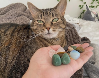 My Cat Chooses your Crystal