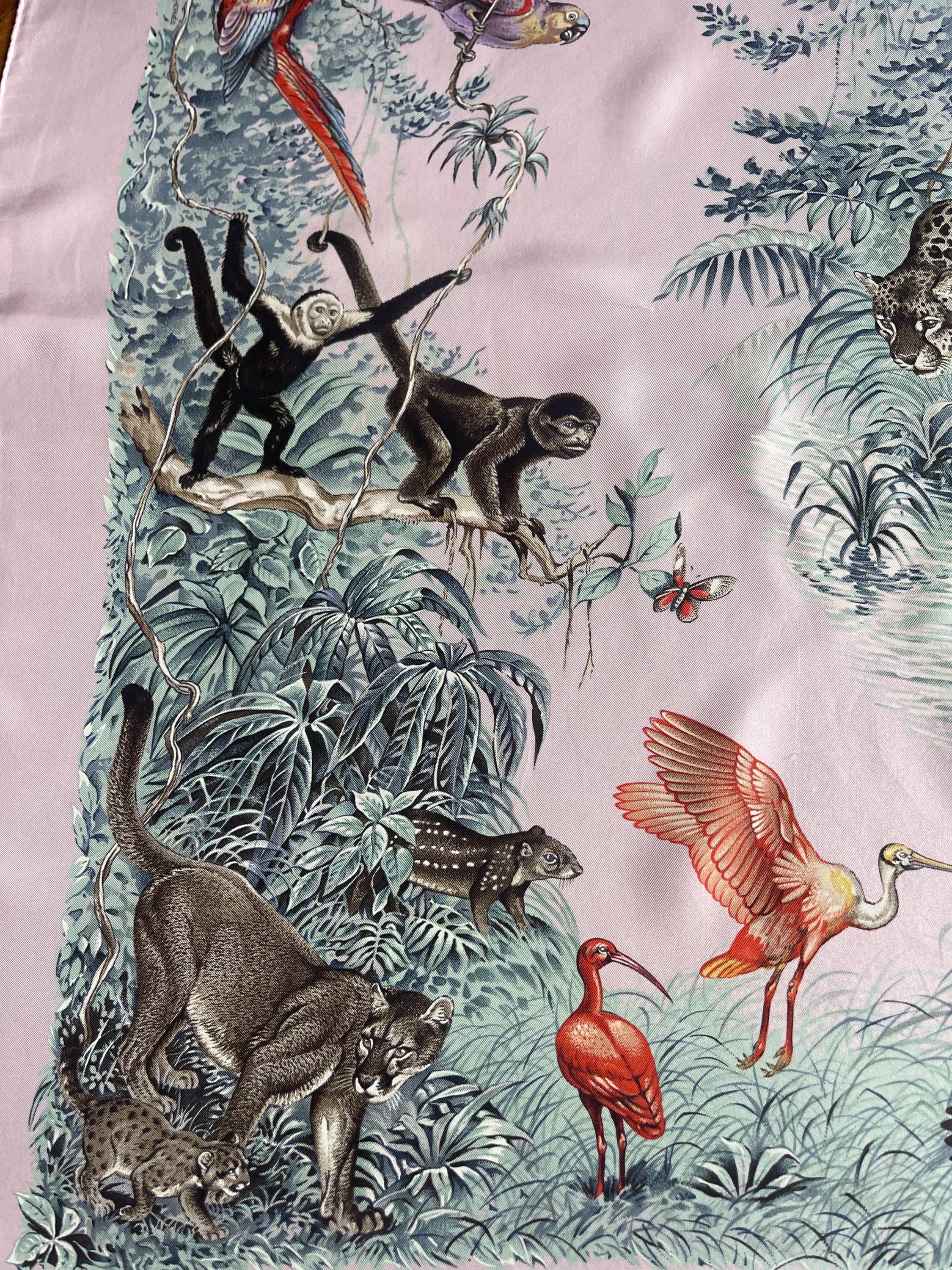 HERMÈS Pink Silk Scarf Équateur 1988 Robert Dallet - Etsy