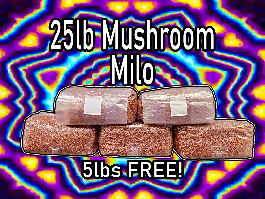 Red Milo 25lb Pack of 5lb Red Milo Sorghum | Sterile Grain for Mushrooms - Etsy