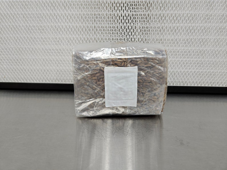 K&ouml;nnte beinhalten: Ein transparenter Plastikbeutel gef&uuml;llt mit braunen K&ouml;rnern, versiegelt mit einem wei&szlig;en Etikett.