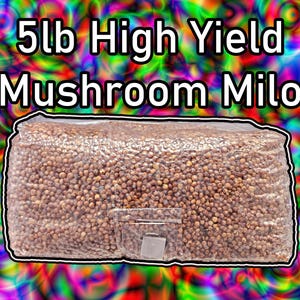 5lb Mushroom Milo Sorghum | Sterile Grain For Mushrooms