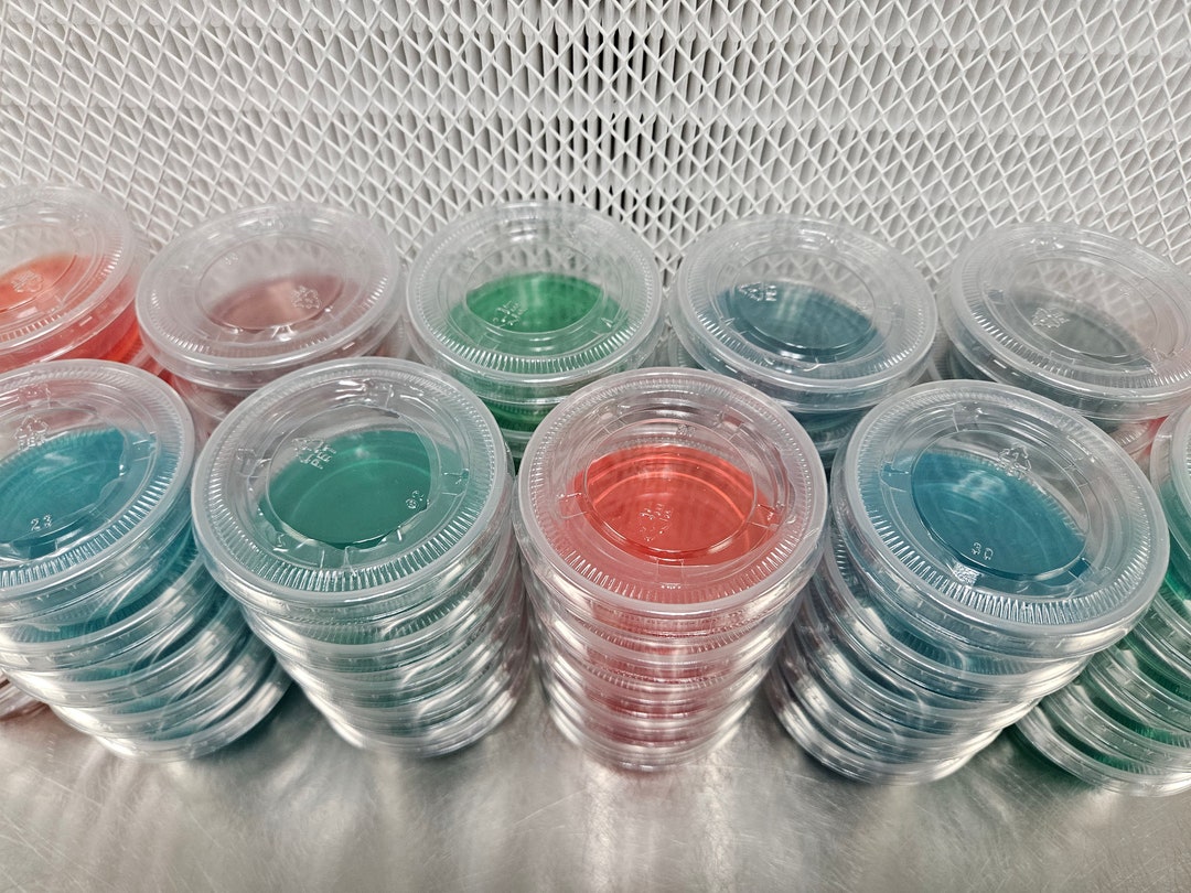 3.25oz//70mm PDY Colored Agar Cup 60 Pack Etsy