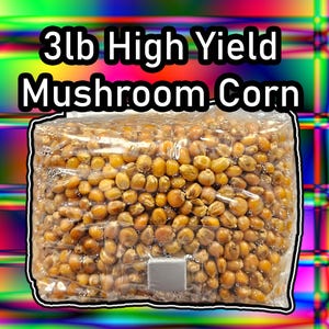 May include: A clear plastic bag filled with 3 lb of high yield mushroom corn. The bag is sealed and the corn kernels are visible.