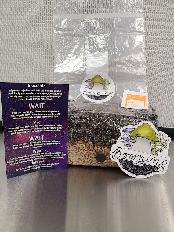 The Magical 5lb All-In-One Mushroom Grow Bag