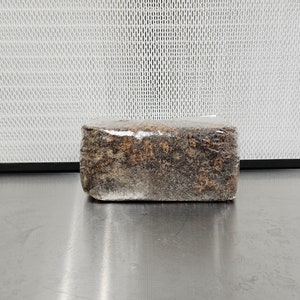 5lb Masters Mix | Substrate Bags for Mushrooms