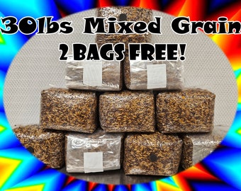 30lb Pack of 3lb Mixed Grain Bags  | Sterile Grain For Mushrooms