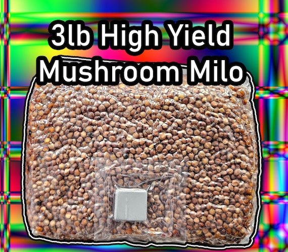 3lb Mushroom Milo Sorghum | Sterile Grain For Mushrooms