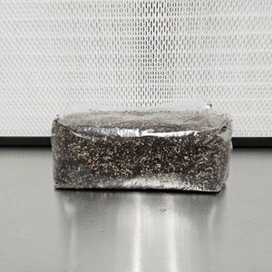 May include: A clear plastic bag filled with a dark, granular substance, possibly substrate for mushroom cultivation. The bag is rectangular and sealed. A white, patterned filter is in the background.