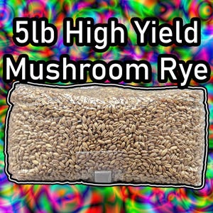 5lb Mushroom Rye | Sterile Grain For Mushrooms