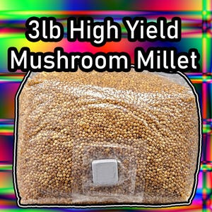 3lb Mushroom Millet | Sterile Grain For Mushrooms